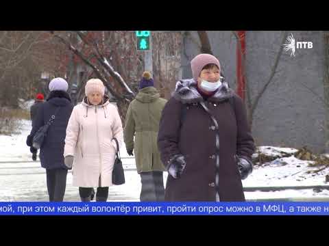 Перепись населения онлайн можно пройти до 14 ноября