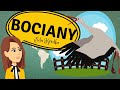 EduKredka – BOCIANY / Film edukacyjny #DLADZIECI #10