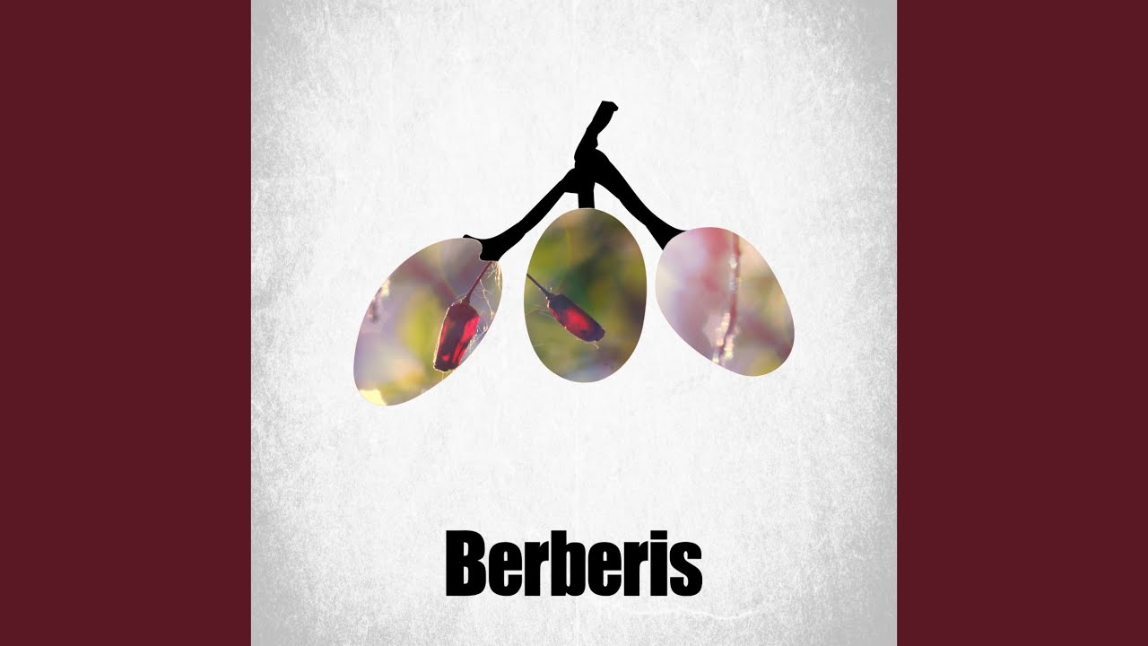 Watch Shells With Bells (Original Mix) on YouTube Watch Shells With Bells (Original Mix) on YouTube