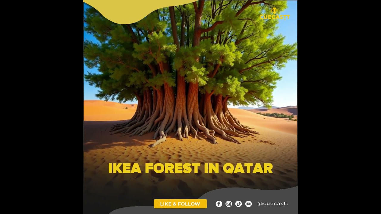 IKEA Forest in Qatar