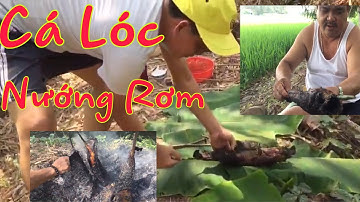 CÁ LÓC NƯỚNG RƠM  ĐẶC SẢN MIỀN TÂY“Western specialty grilled snakehead fish”