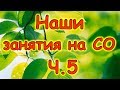 Семья Бровченко. Наши занятия на СО (часть 5). (03.16г.)