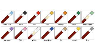 Download lagu Every Blood Tube Color Explained