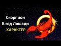 Скорпион в год Лошади - характер