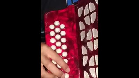 How to play an accordion