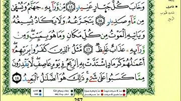 سورة إبراهيم القارئ ياسين الجزائري ، ورش