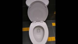 Gerber Dual Flush toilet at RPM