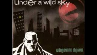 Pheonix Down - Blind