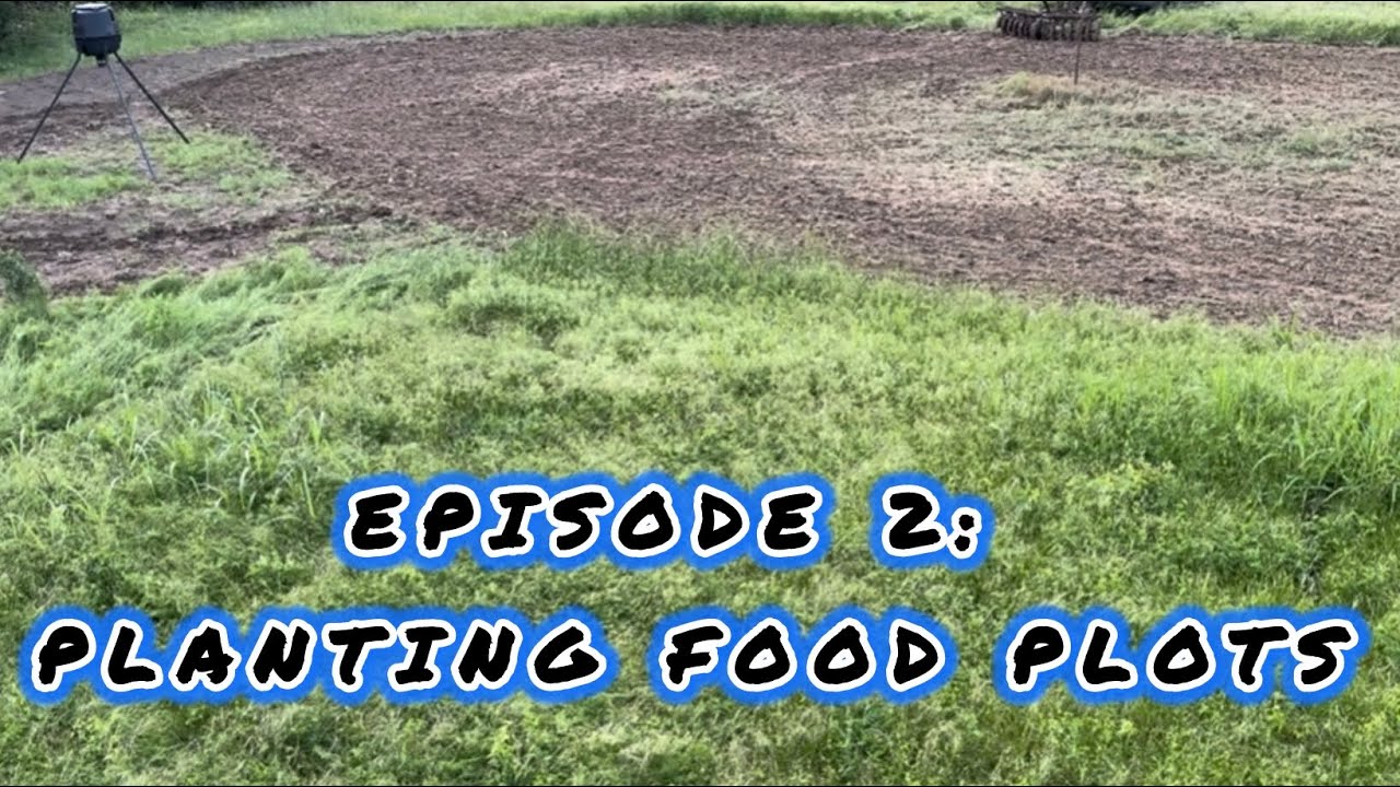 Episode 2: Planting Food Plots - YouTube