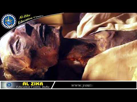 Whatsapp Status | Ham Kahin Firon Jaise Ibrat Ki Nishani Na Ban Jaye | हम ईबरत की निशानी ना बन जाए