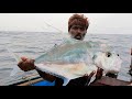 Catching Cobia Fish, Diamond Trevally Fish & Rainbow Runner Fish in Sea