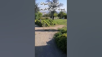 تلاوه خاشعة من القرآن الكريم بصوت جميل للشيخ ماهر المعيقلي 😍🌹 #المصحف #اكسبلور #راحة_نفسية #المصحف