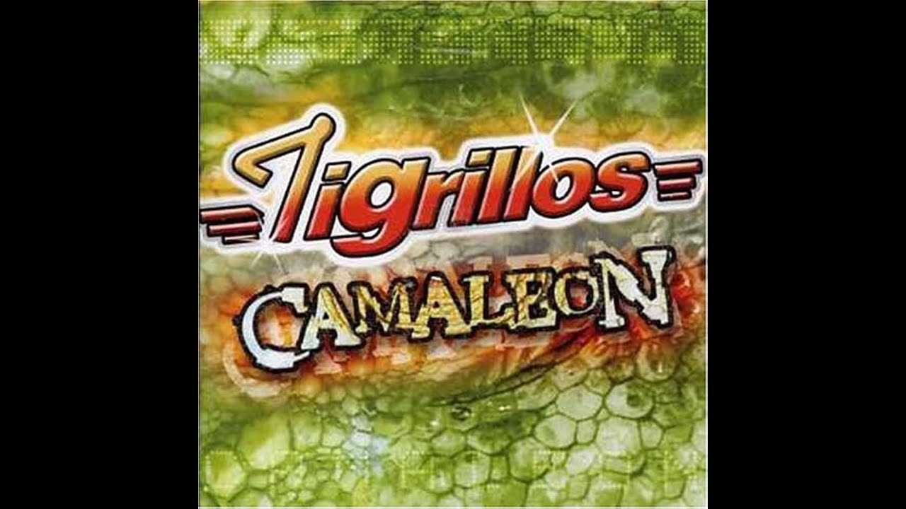LOS TIGRILLOS EL CAMALEON KARAOKE