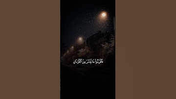 أكتب شيء تؤجر عليه ❤️ 🤲 #تلاوة_خاشعة