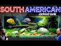 The south american cichlid aquarium epic 4ft planted tank aquascape tutorial