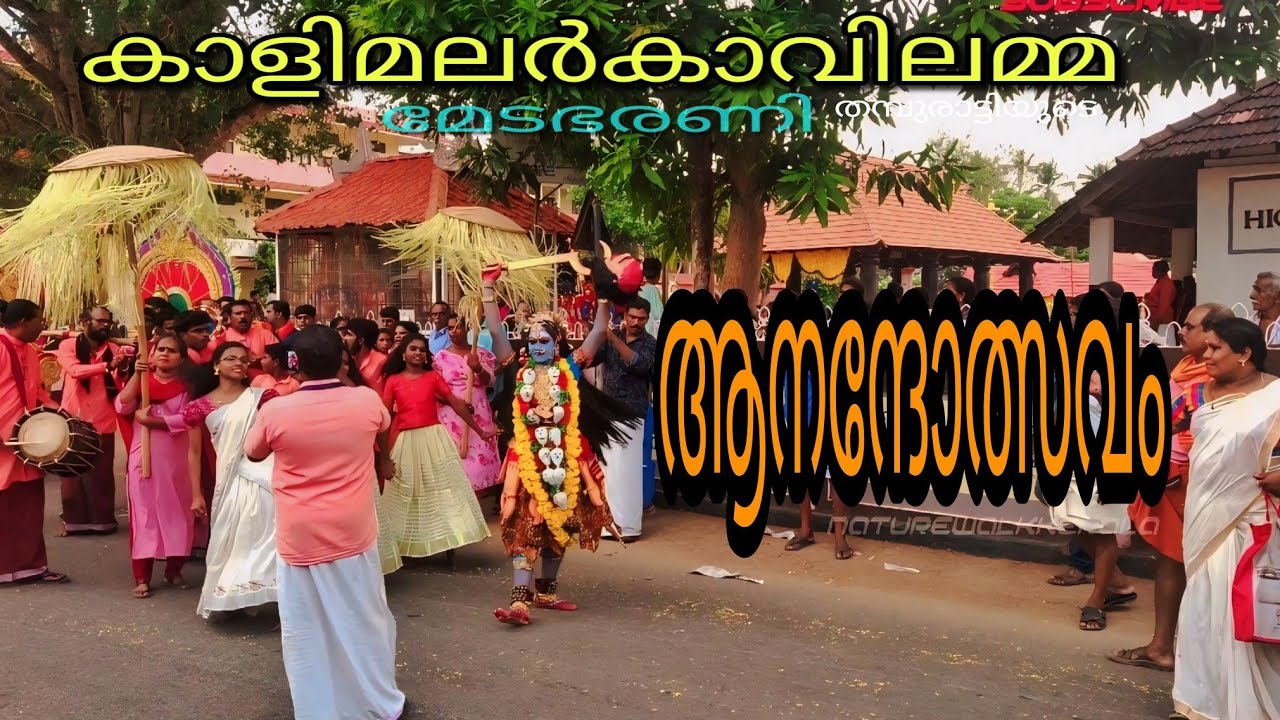 കാളിമലർകാവിലമ്മ തമ്പുരാട്ടിയുടെ മേടഭരണി,anandholsavam #kalimalarkavu #kali #youtubevideo