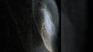Nasa: Появление Сатурна