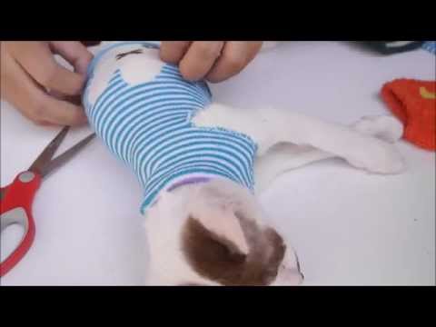 วีดีโอ: วิธีทำชุดแมว