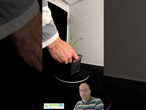 🌱 Multiview Phenotyping