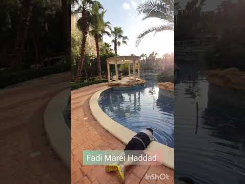 كومباوند الامعري مدينه اربد فادي مرعي حداد لعام 2023 م