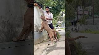 Bheemaകറചച തരകകയ പയ ഭമയട വഡയയമയ പടടനന വരടട