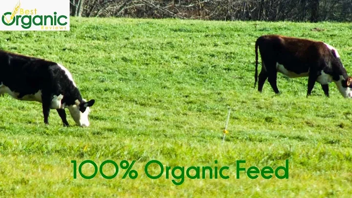 Organic Milk vs Regular Milk - DayDayNews