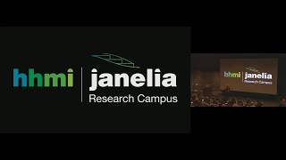 Objects and People: From Core Cognition to New Systems of Knowledge