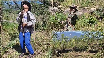 hnub no rov qab tuaj txhiav kav qos duab xwb