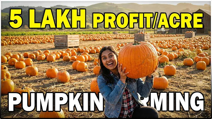 Pumpkin Farming: Complete Pumpkin Cultivation Process