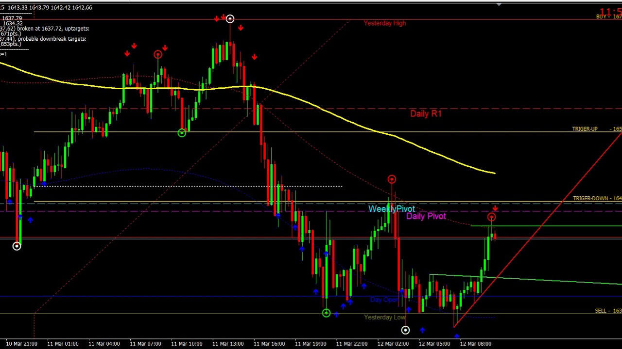 forex xauusd time