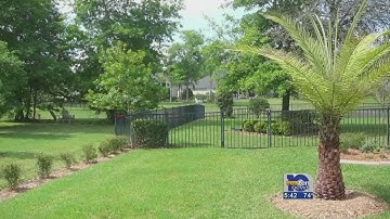 angie list adding trees to your landscape