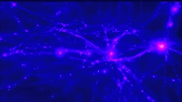 Cosmological simulation : global evolution