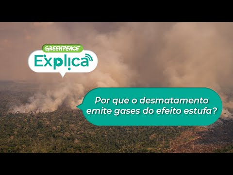 Vídeo: O desmatamento aumenta os gases de efeito estufa?