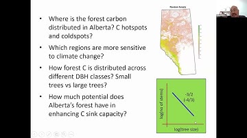 WEBINAR: Forest management in a changing climate