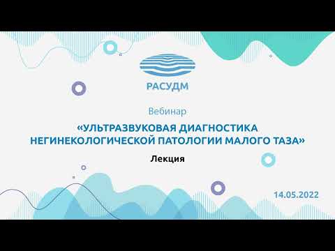 Ультразвуковая диагностика негинекологической патологии малого таза