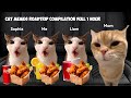 Cat memes roadtrip compilation full 1 hour