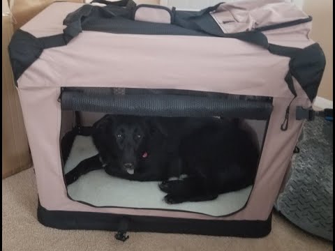 EliteField 3 Door Folding Soft Dog Crate Unboxing & Setup (Without Instructions)