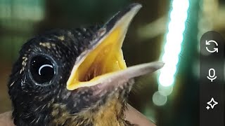 𝙆𝘼𝙇𝘼𝙐 𝙈𝘼𝙐 𝙆𝙀𝘽𝘼𝙂𝙄𝘼𝙉 𝙔𝘼 𝙃𝘼𝙍𝙐𝙎 𝙎𝘼𝙏 𝙎𝙀𝙏 𝙆𝙐𝘼𝙇𝙄𝙏𝘼𝙎 𝙉𝙄𝙇𝘼𝙄 𝙎𝙀𝙉𝘿𝙄𝙍𝙄 𝘼𝙅𝘼  𝙋𝘼𝘿𝘼𝙃𝘼𝙇 𝘾𝙐𝙈𝘼 200 𝙍𝙄𝘽𝙐𝘼𝙉