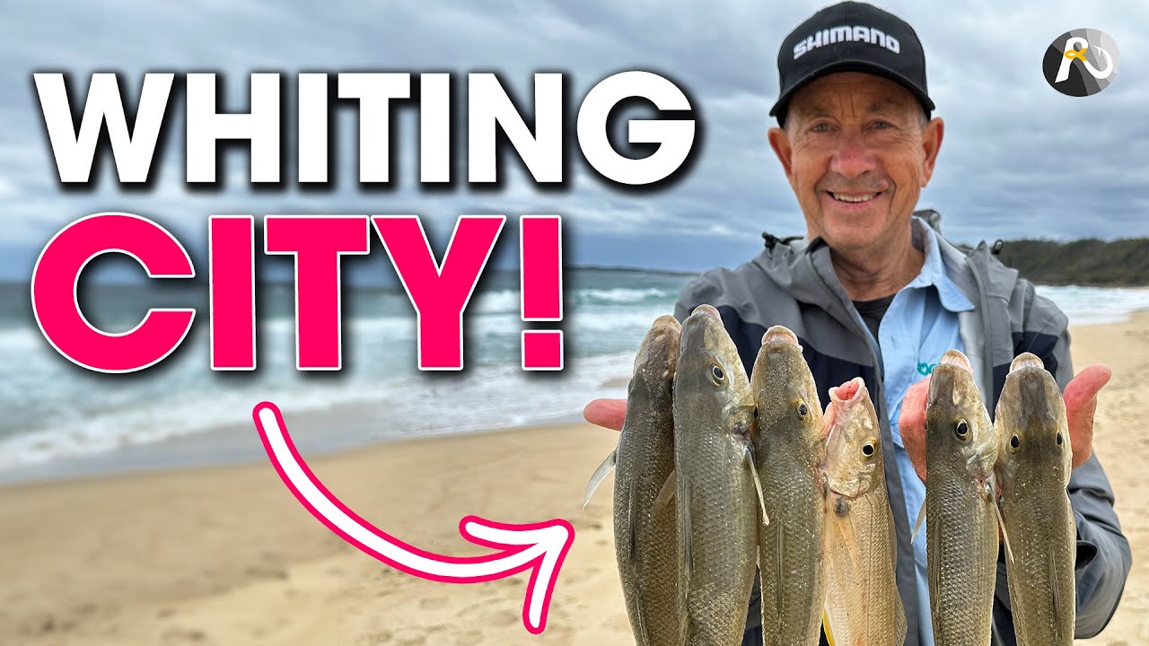 ULTRA-LIGHT Beach Fishing for WHITING! Epic Session ✅