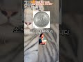 6928.“무심코 받은 100원, 알고 보니 전설의 견양 동전!”Shorts