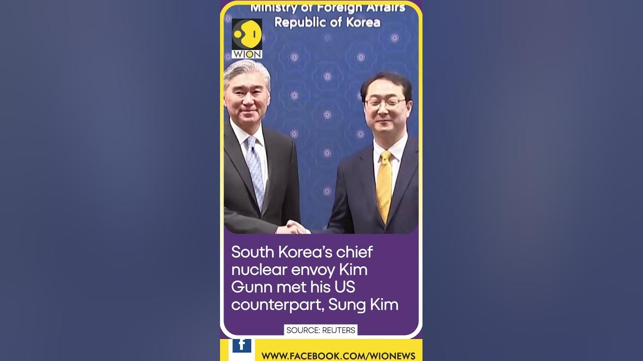 Top nuclear envoys for the US and S. Korea meet in Seoul | WION Shorts