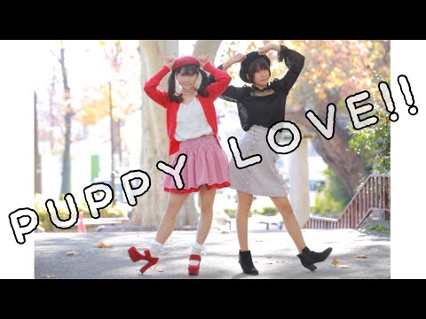 PUPPY LOVE!!踊ってみた【来栖うさこ×若木萌】