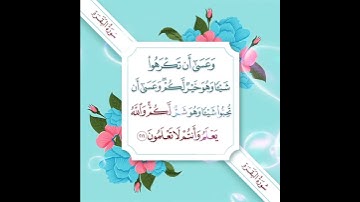 سورة البقرة الآية ( 216 )