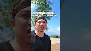 hamil itu salah satu resiko terbesar kucing