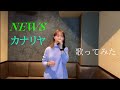 カナリヤ / NEWS  歌ってみた(+1)