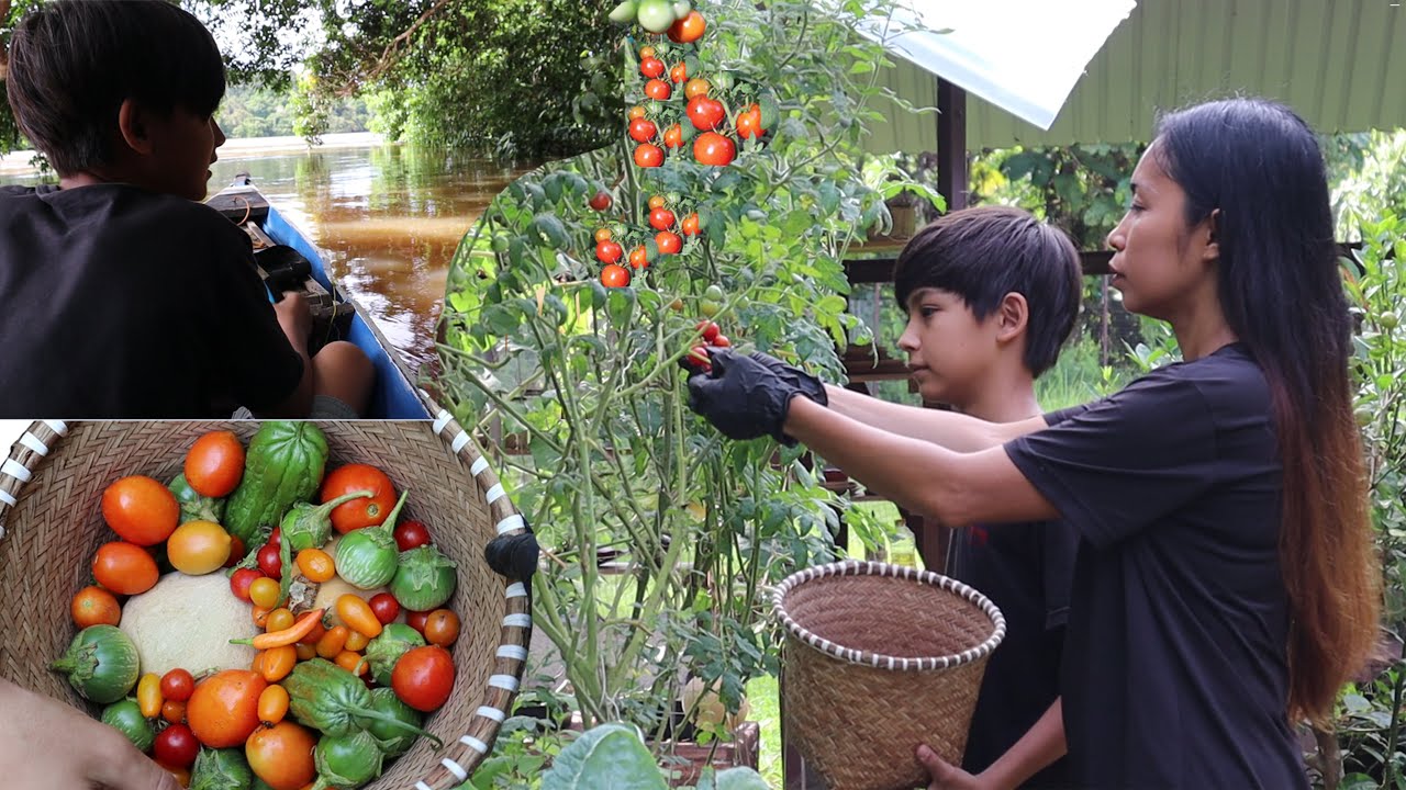 PANEN di Musim Hujan dan Naik Perahu di setirin Enzo