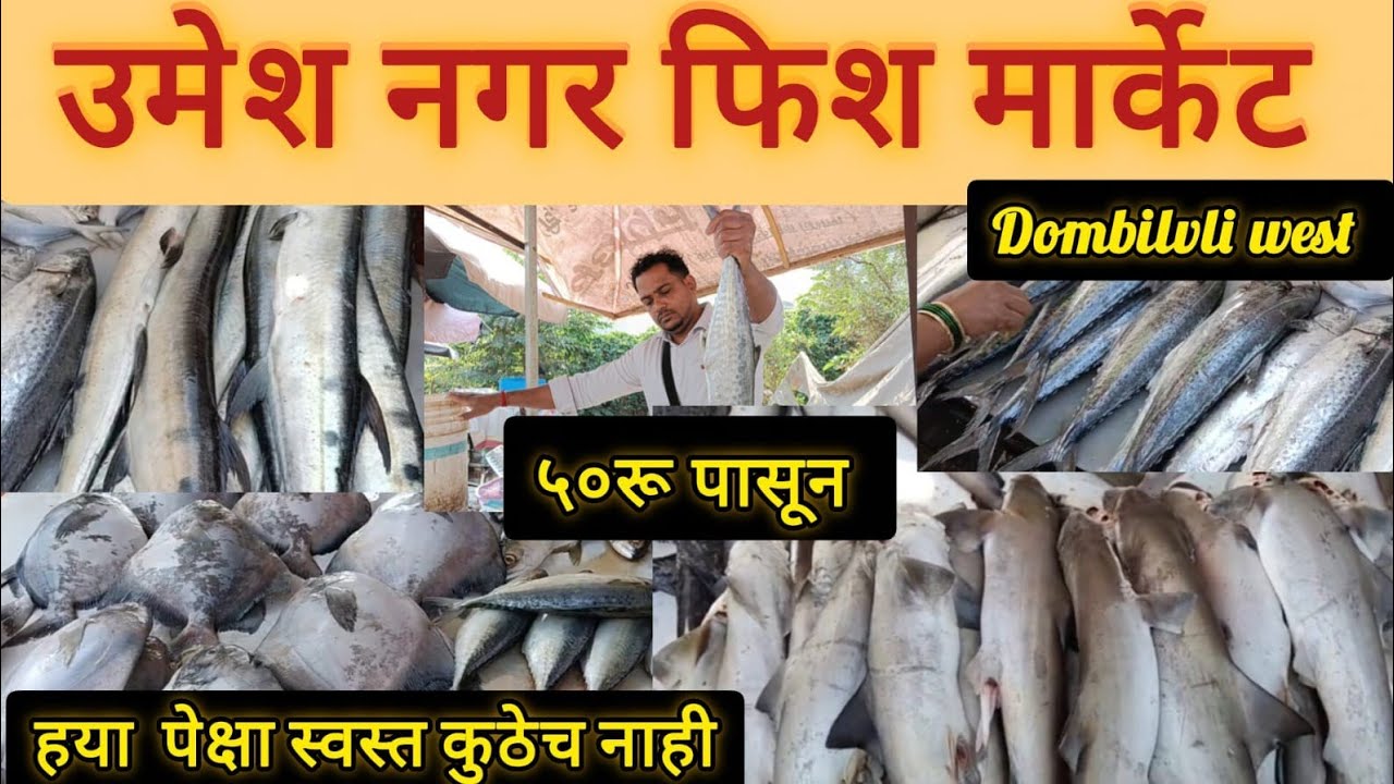 Umesh Nagar fish market.. Dombivli यापेक्षा स्वस्त कुठेच नाही 😱५० ₹ पासून सुरू 