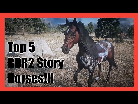 rdr2 story horses