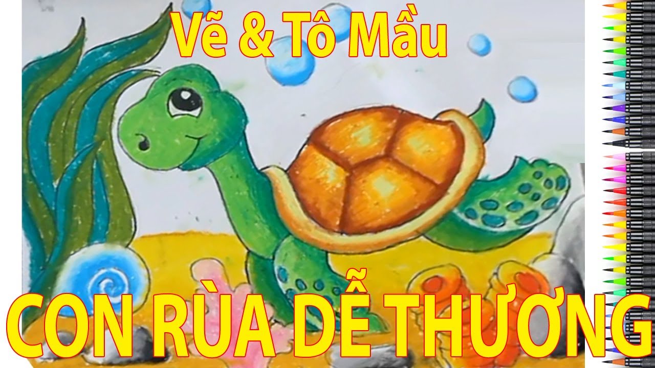 Hướng Dẫn Dạy Bé Vẽ Con Rùa - Tô Màu Con Rùa Đơn Giản 🐢🐢🐢 - Youtube