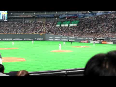 吉田正尚シフト